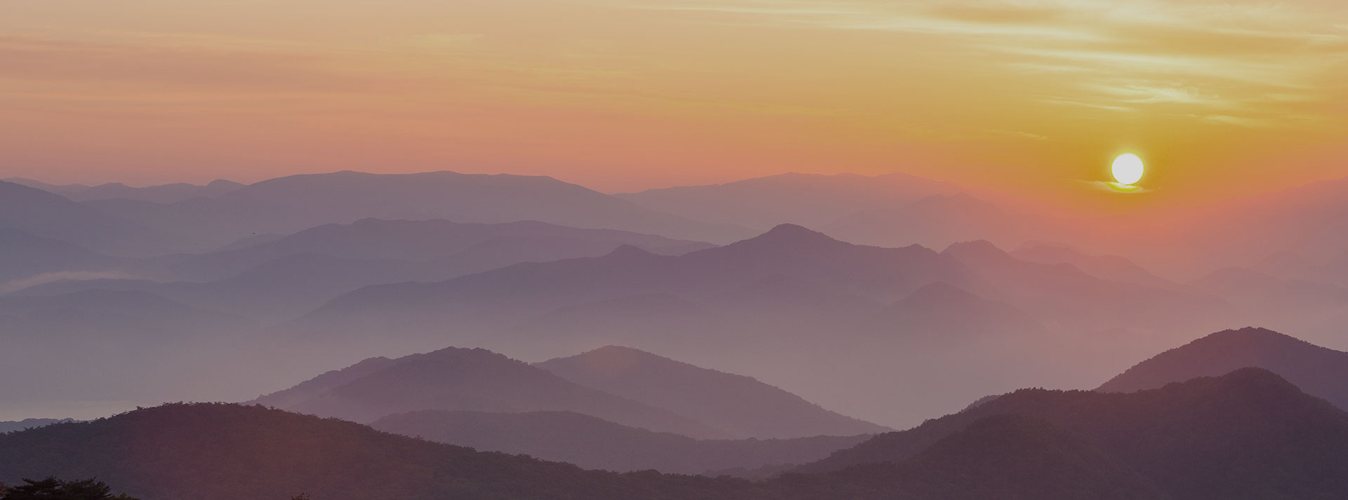 PC 메인 배경이미지 2