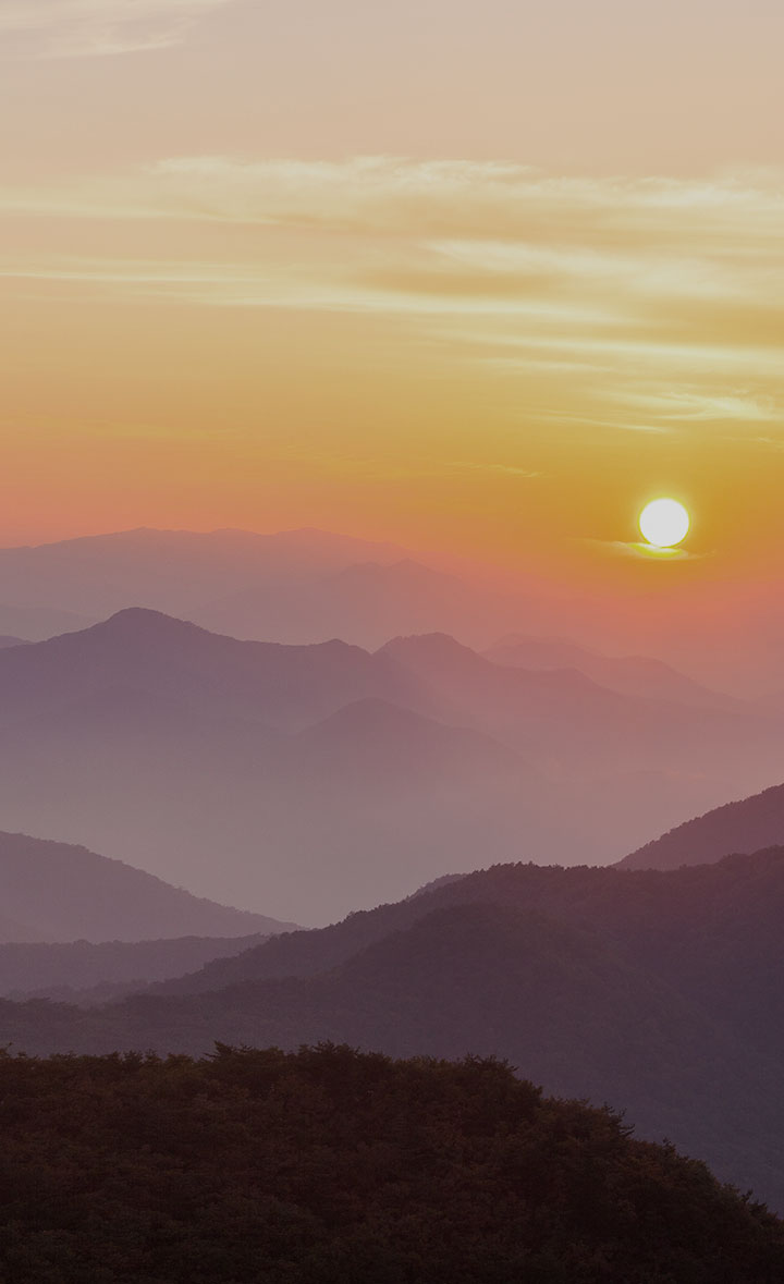 Mobile 메인 배경이미지 2