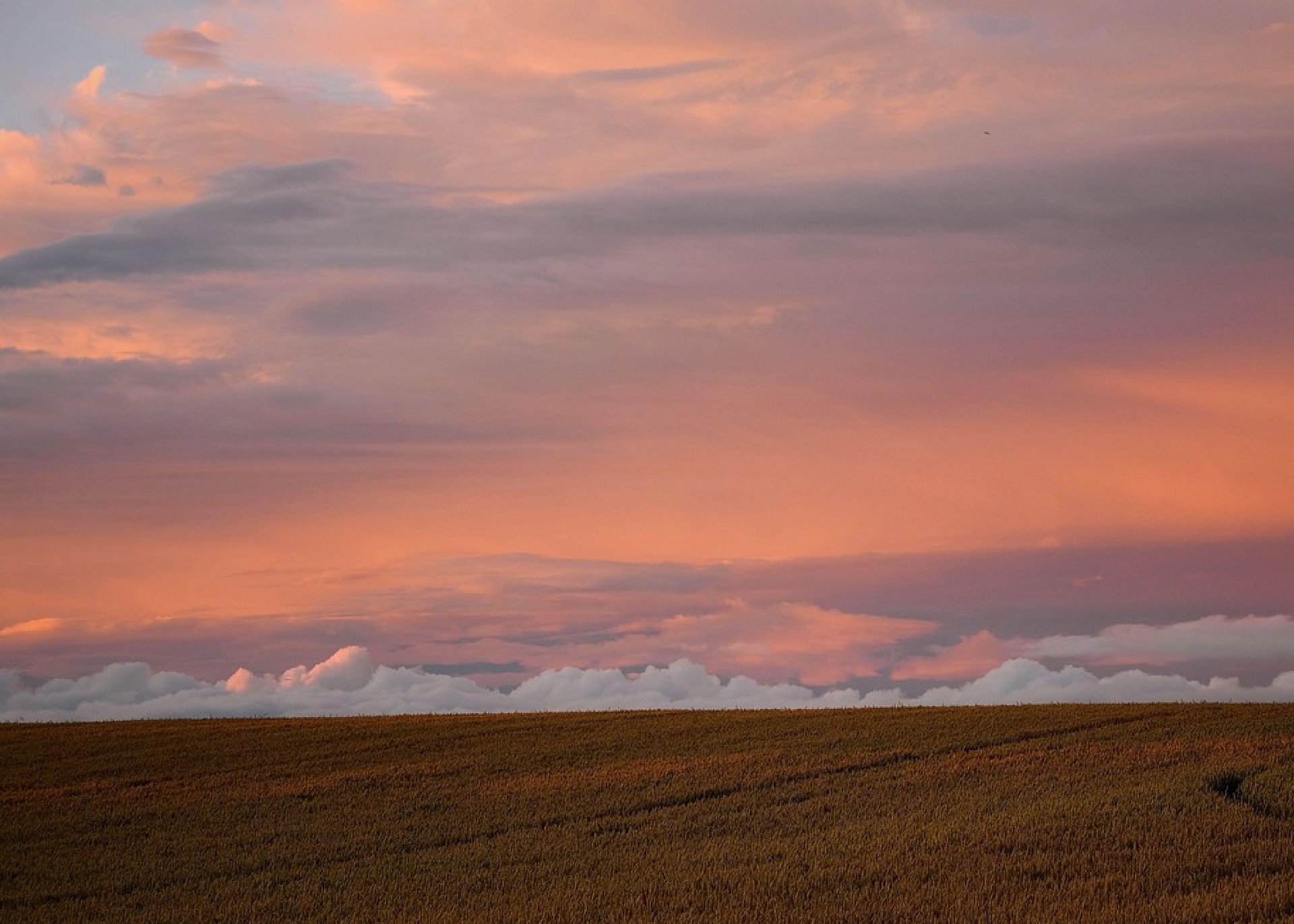PC 메인 배경이미지 2