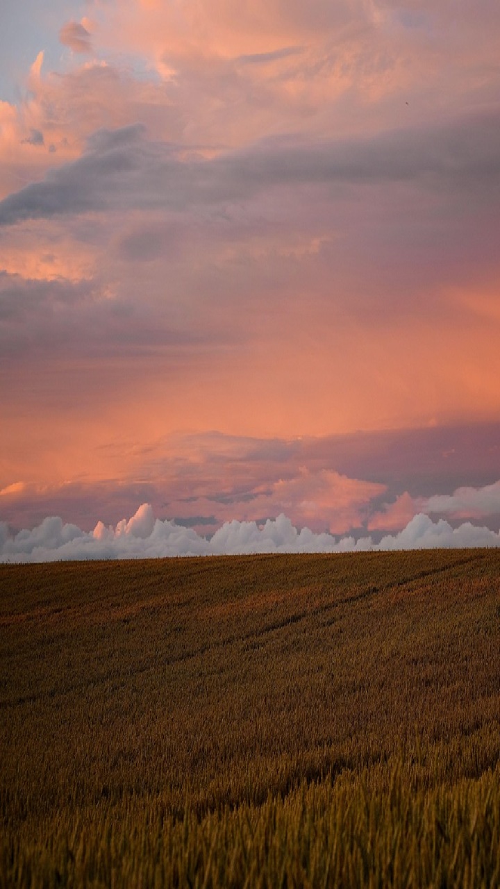 Mobile 메인 배경이미지 2