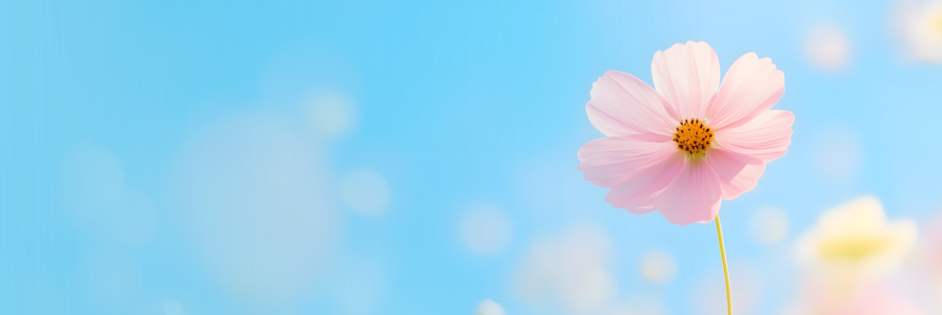 PC 메인 배경이미지 0